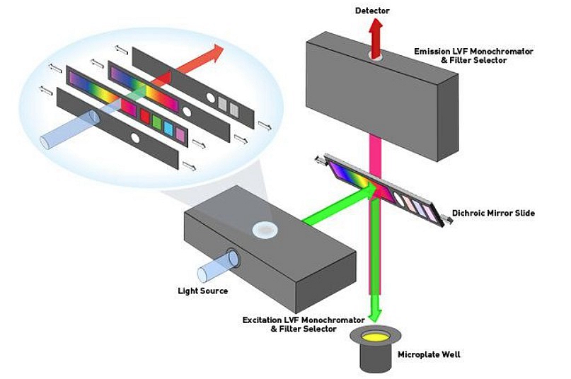 酶標儀使用光柵和濾光片的區(qū)別